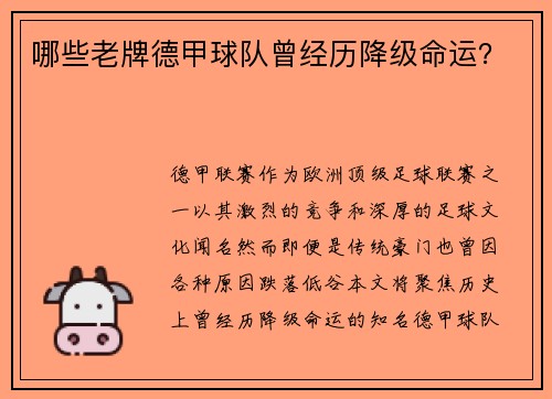 哪些老牌德甲球队曾经历降级命运？